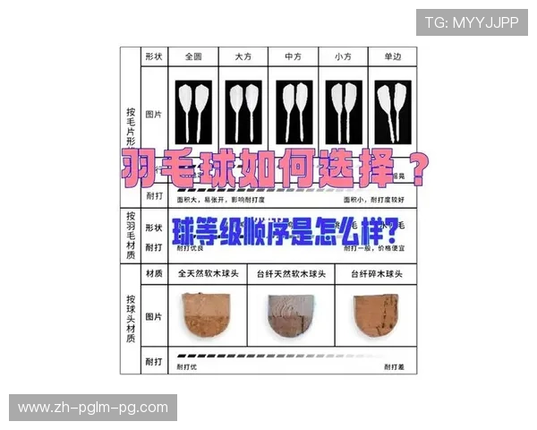 胜利羽毛球编号解析与选购指南：如何根据型号选择适合的羽毛球产品